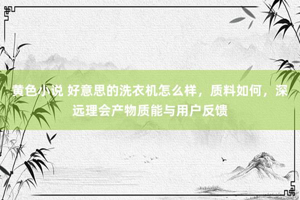 黄色小说 好意思的洗衣机怎么样，质料如何，深远理会产物质能与用户反馈