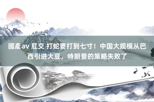 國產av 肛交 打蛇要打到七寸！中国大规模从巴西引进大豆，特朗普的策略失败了
