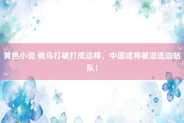 黄色小说 俄乌打破打成这样，中国或将被迫选边站队！