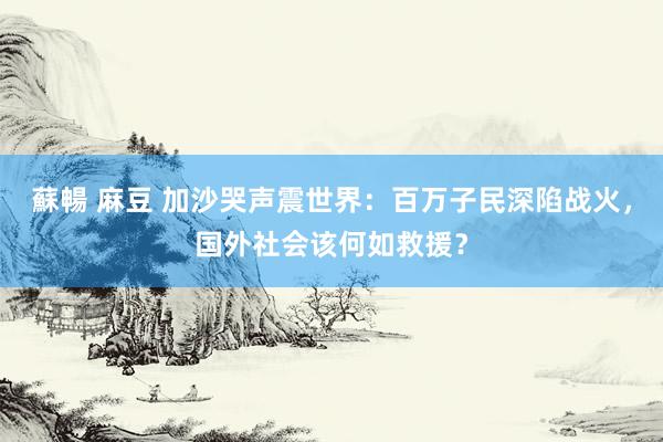 蘇暢 麻豆 加沙哭声震世界：百万子民深陷战火，国外社会该何如救援？