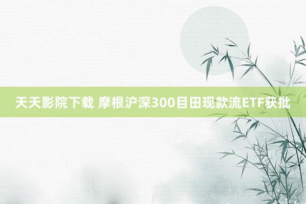 天天影院下载 摩根沪深300目田现款流ETF获批