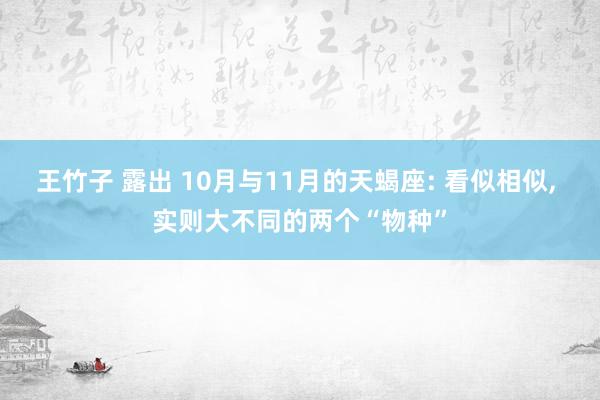 王竹子 露出 10月与11月的天蝎座: 看似相似， 实则大不同的两个“物种”