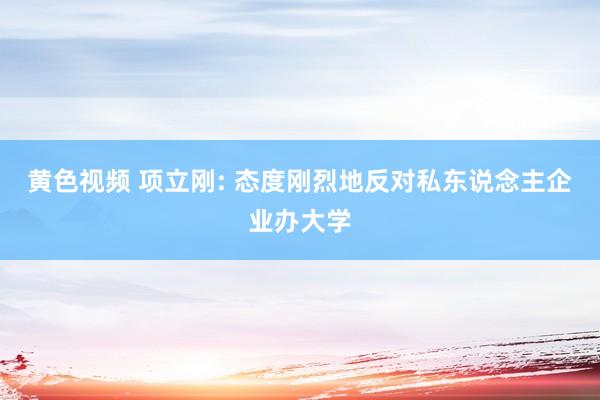 黄色视频 项立刚: 态度刚烈地反对私东说念主企业办大学
