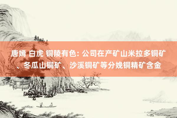 唐嫣 白虎 铜陵有色: 公司在产矿山米拉多铜矿、冬瓜山铜矿、沙溪铜矿等分娩铜精矿含金