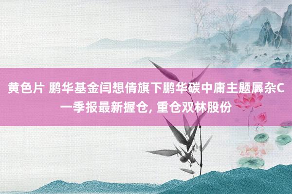 黄色片 鹏华基金闫想倩旗下鹏华碳中庸主题羼杂C一季报最新握仓， 重仓双林股份
