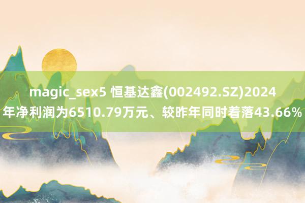 magic_sex5 恒基达鑫(002492.SZ)2024年净利润为6510.79万元、较昨年同时着落43.66%