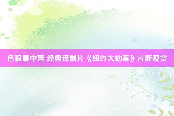 色狼集中营 经典译制片《纽约大劫案》片断观赏