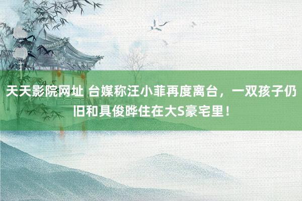 天天影院网址 台媒称汪小菲再度离台，一双孩子仍旧和具俊晔住在大S豪宅里！
