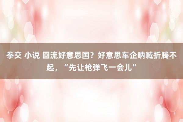 拳交 小说 回流好意思国？好意思车企呐喊折腾不起，“先让枪弹飞一会儿”
