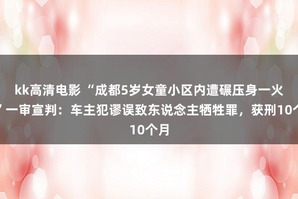kk高清电影 “成都5岁女童小区内遭碾压身一火案”一审宣判：车主犯谬误致东说念主牺牲罪，获刑10个月